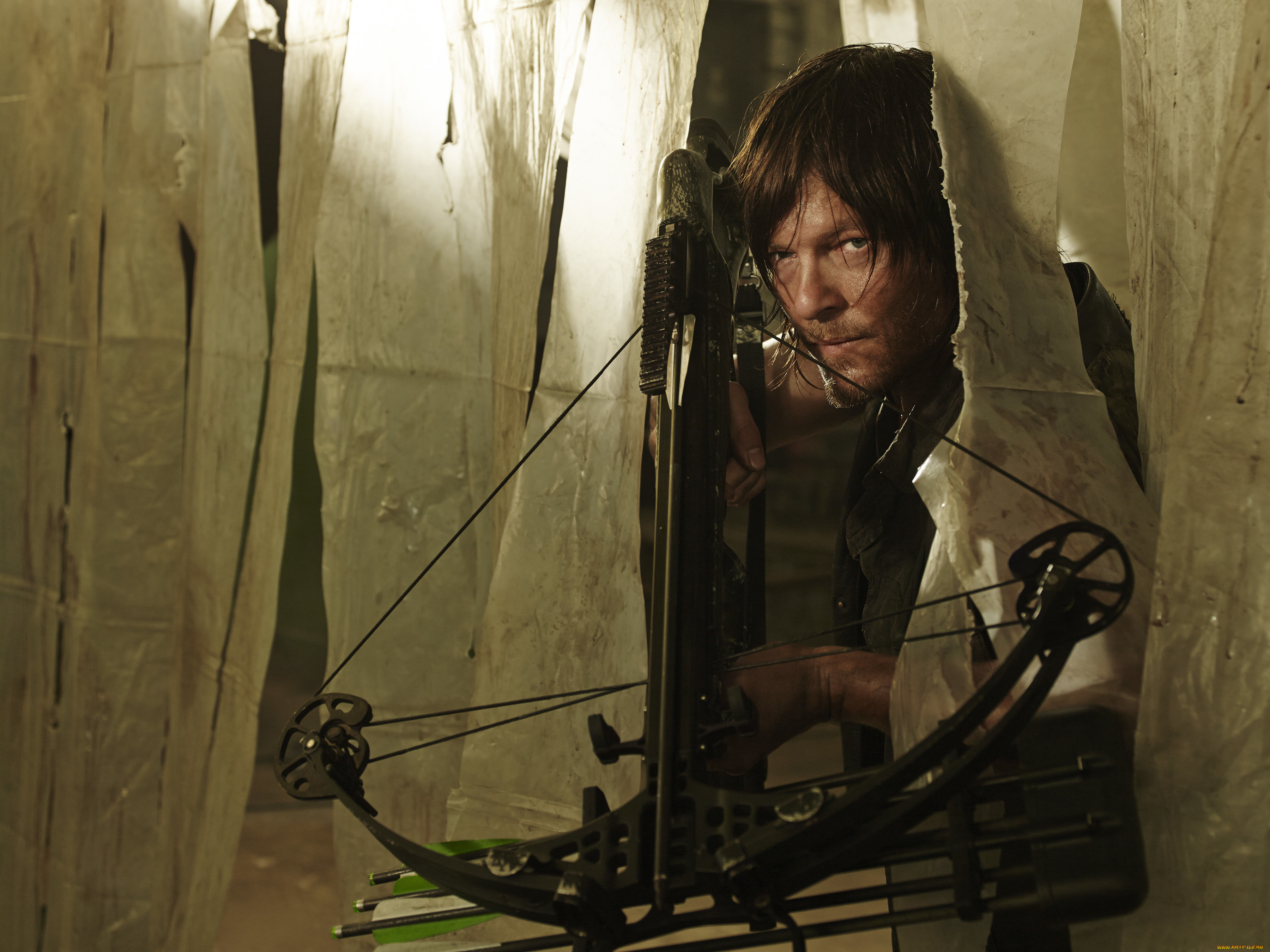  , the walking dead, , , dead, , , walking, the